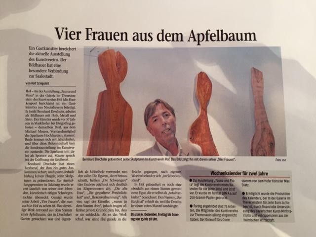 frankenpost_ausstellung_hof_2015_